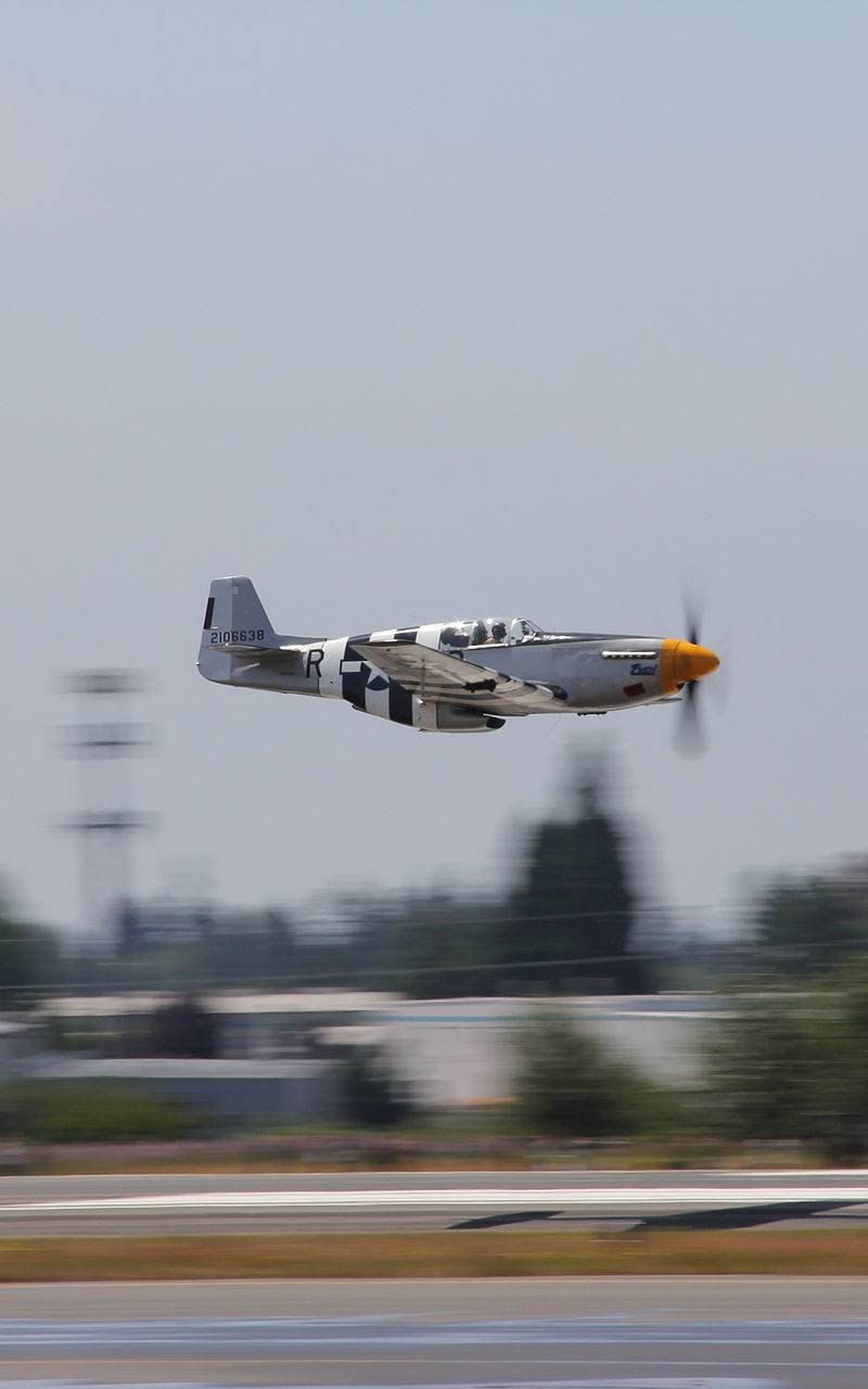 N5087F - Warbird