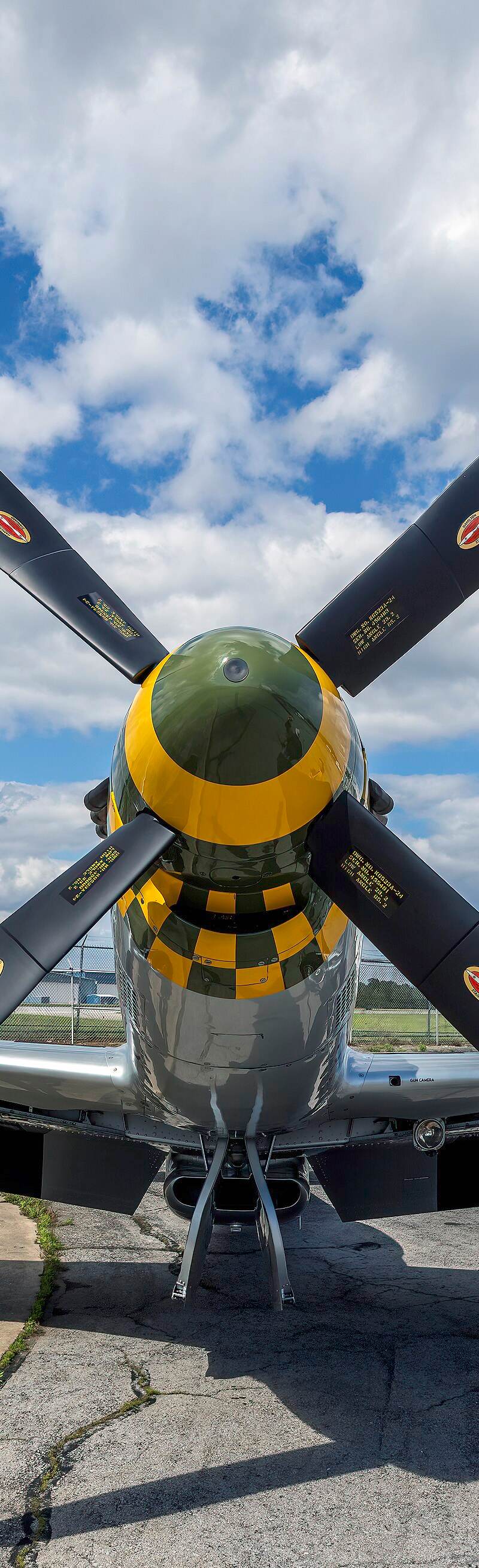 N5428V - Warbird