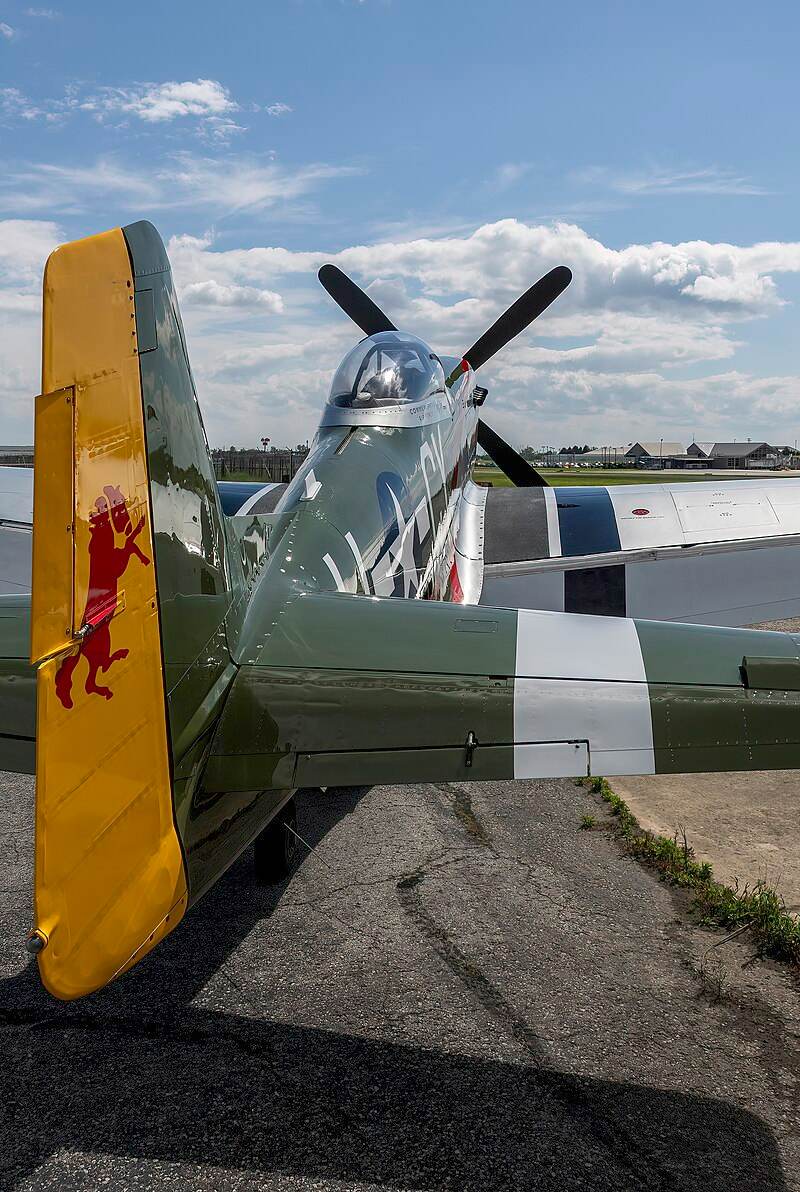 N5428V - Warbird