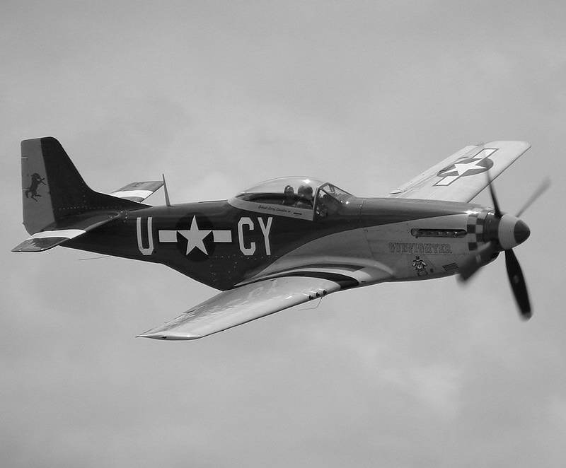 N5428V - Warbird