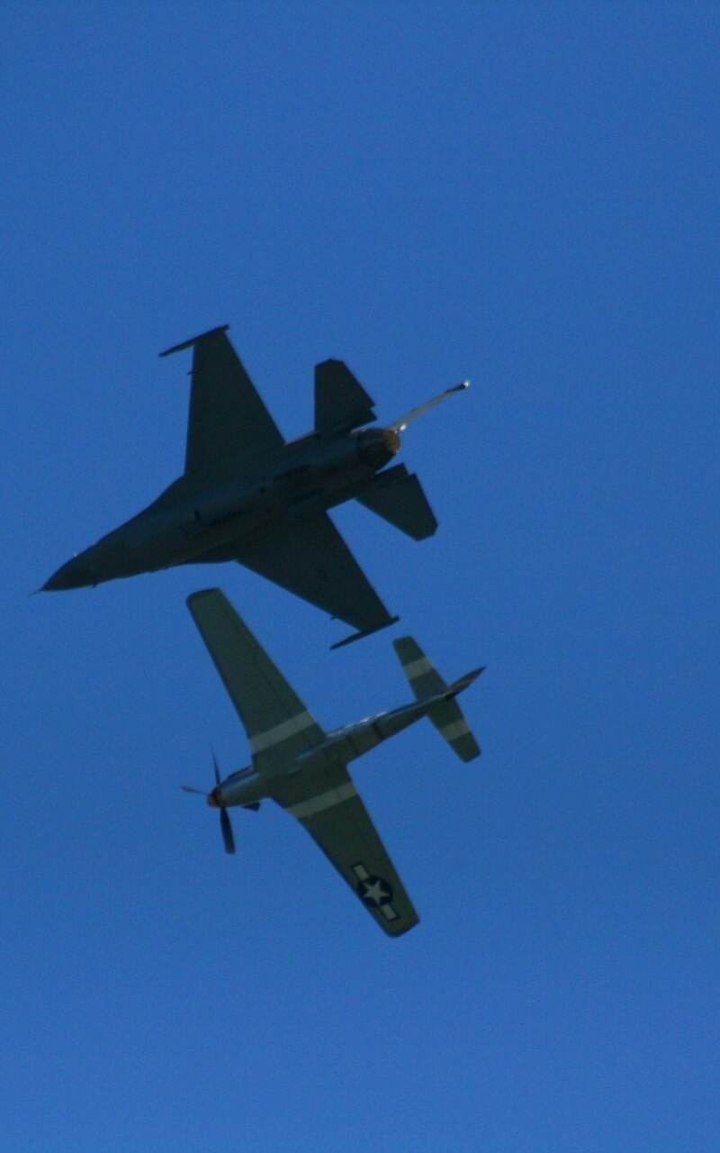  - Warbird