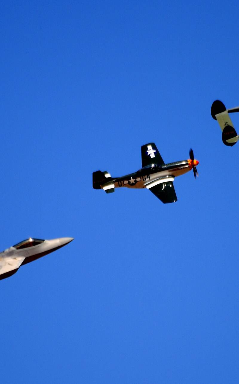  - Warbird