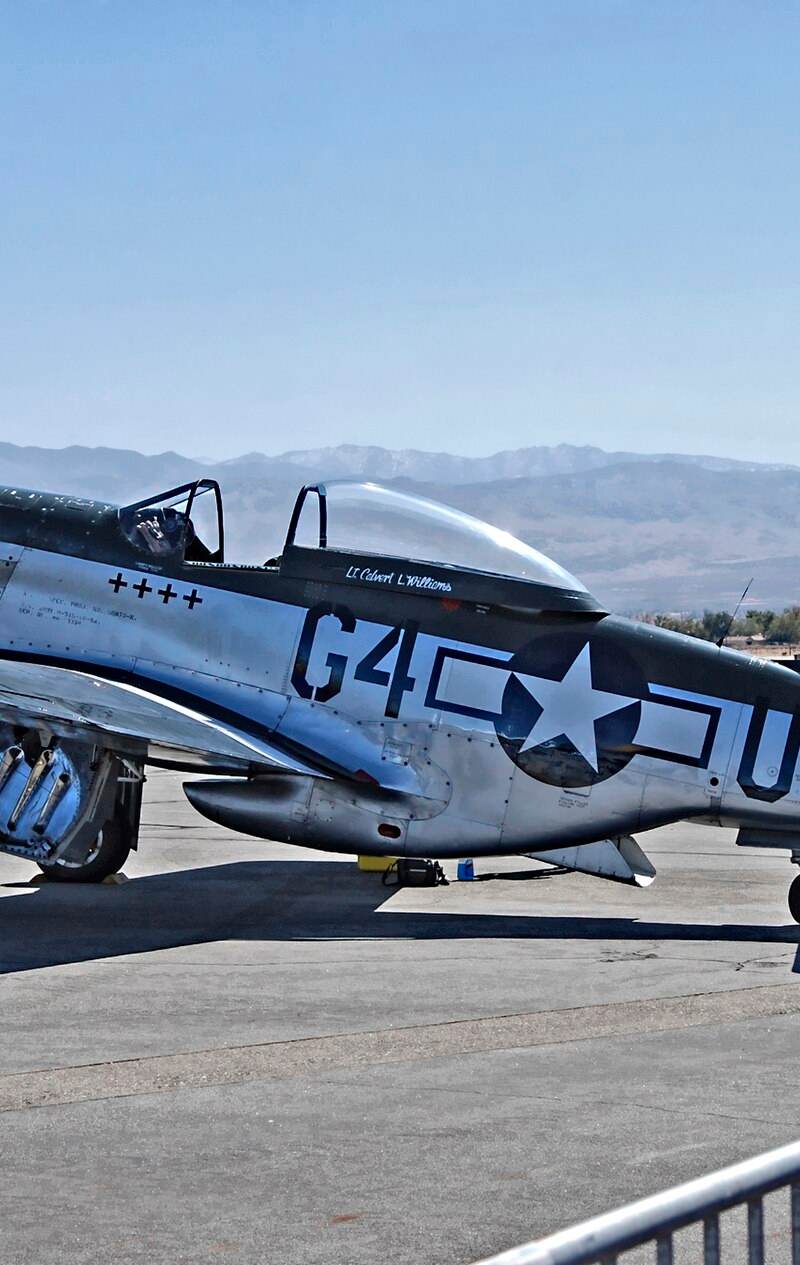  - Warbird