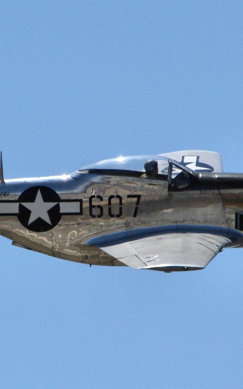  - Warbird