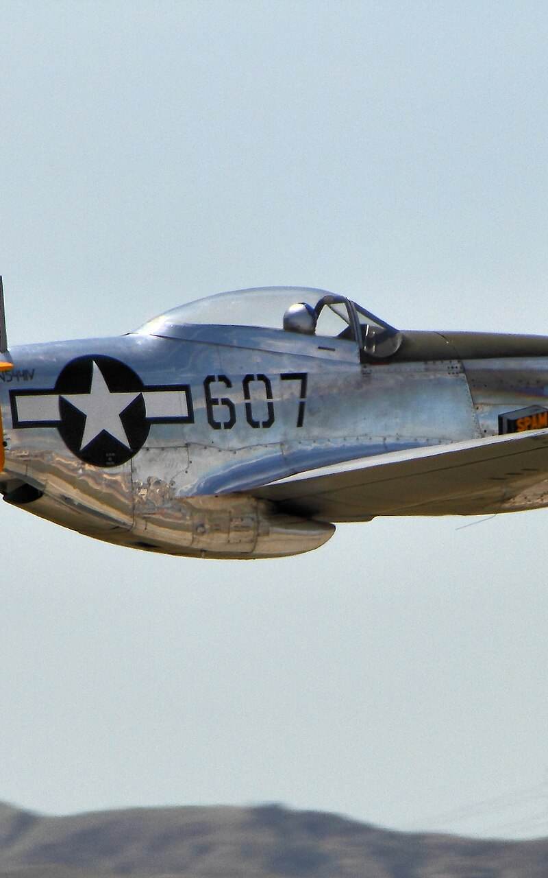  - Warbird