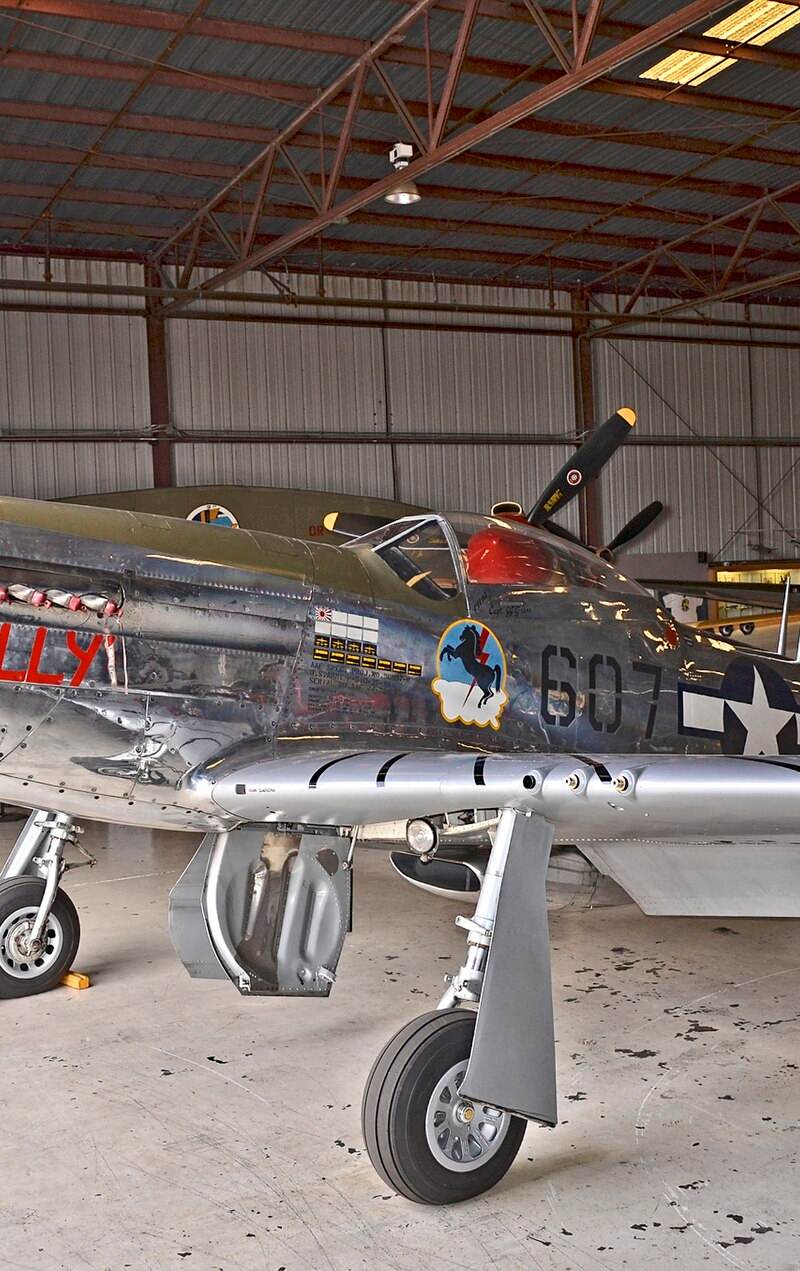 N5441V - Warbird
