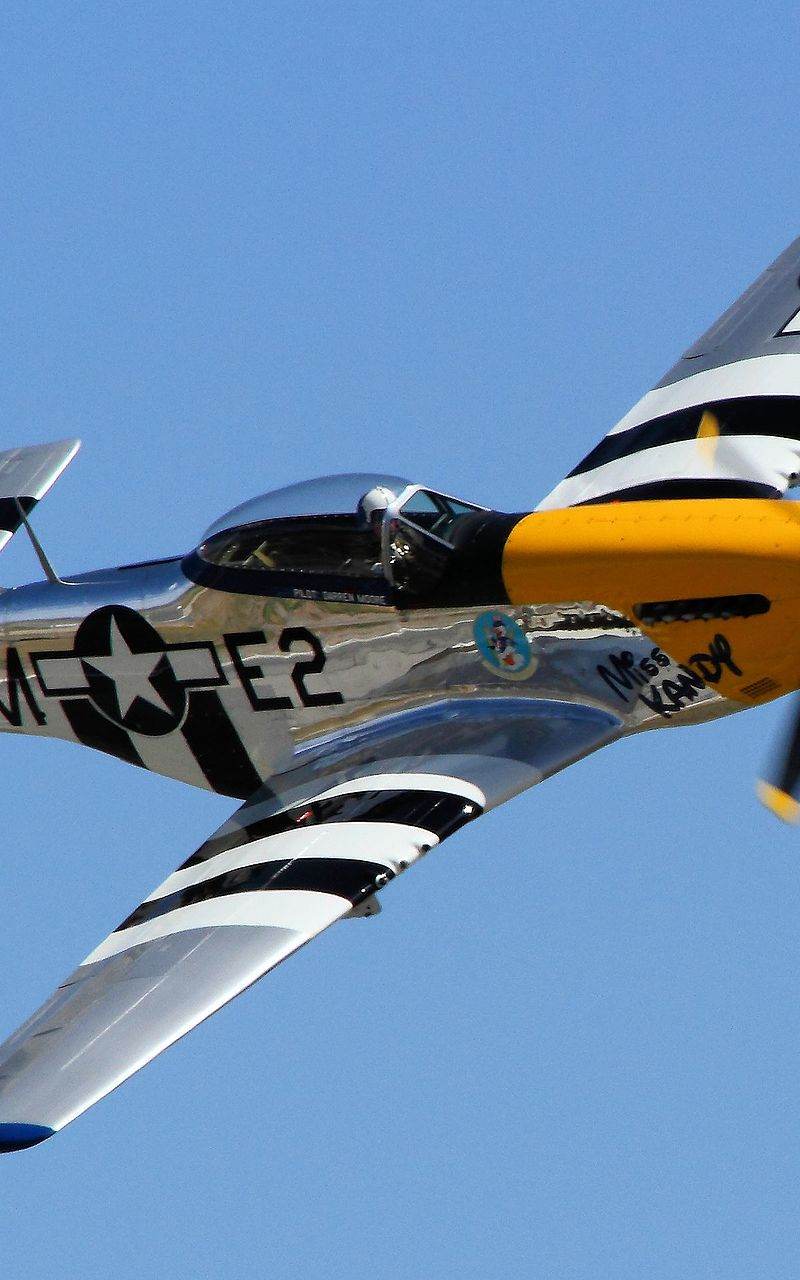  - Warbird