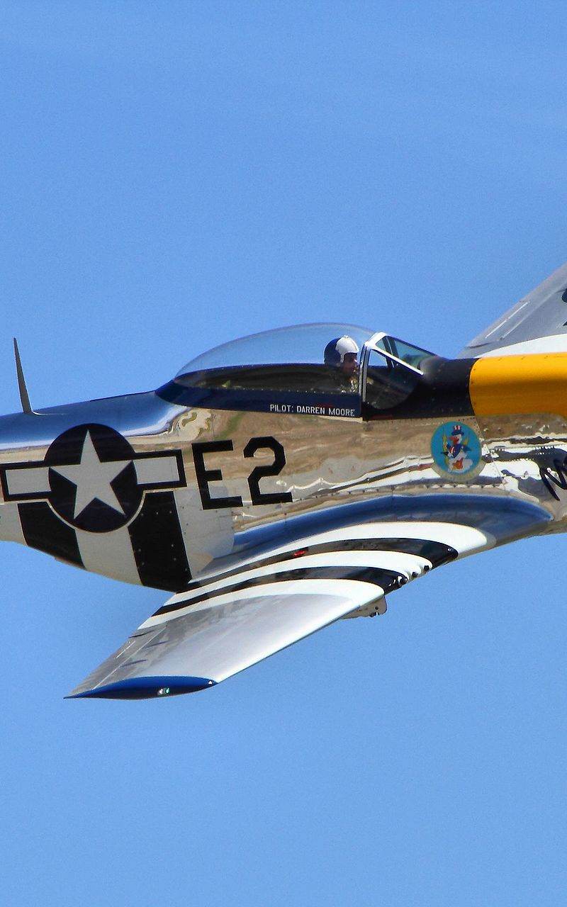  - Warbird
