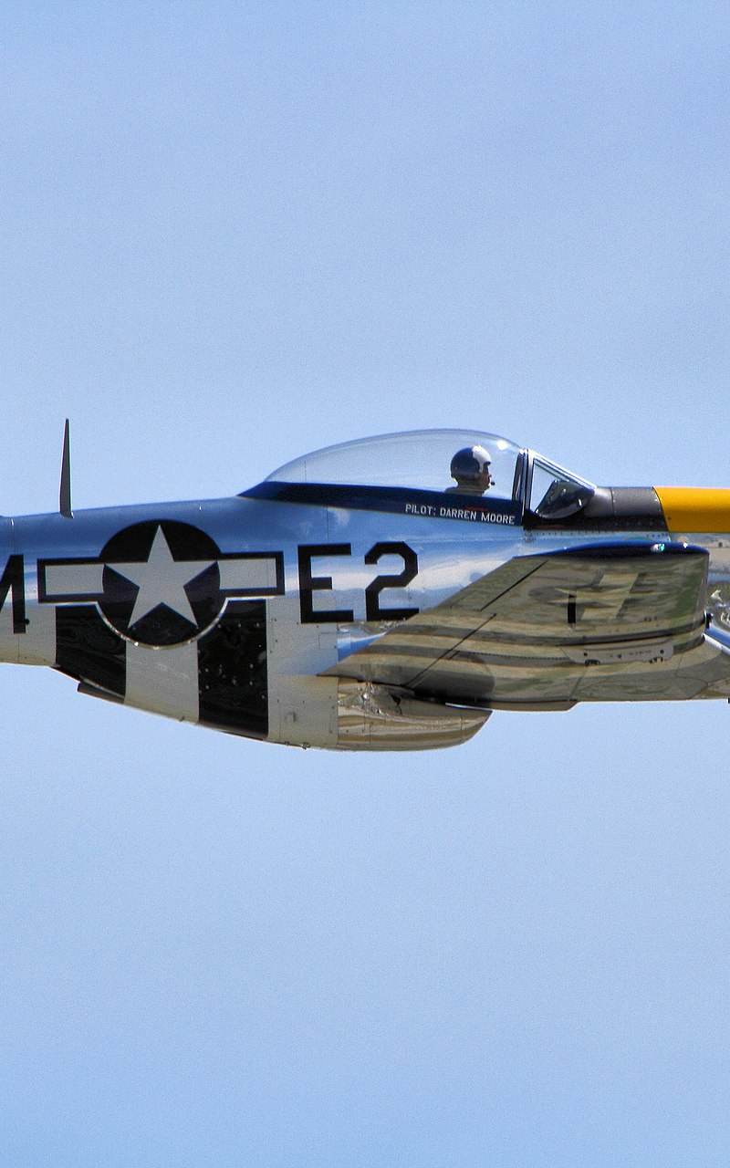  - Warbird