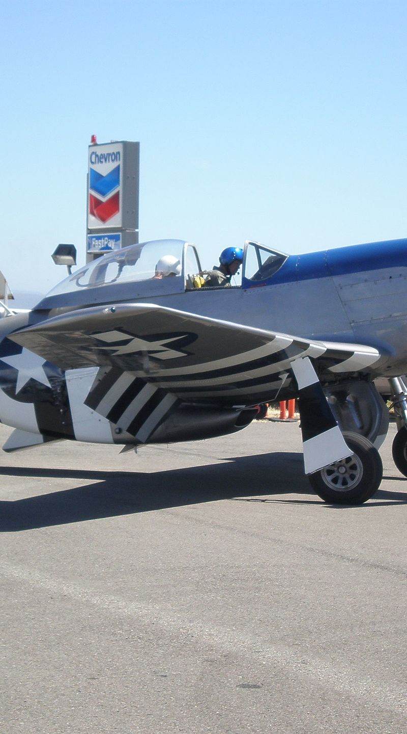  - Warbird
