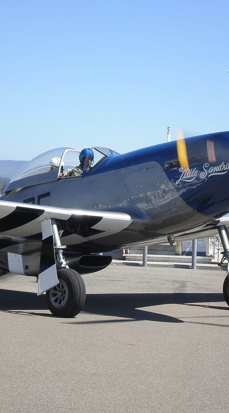  - Warbird