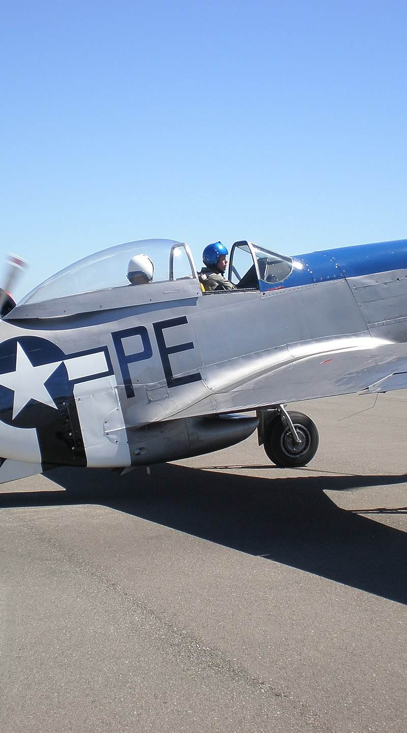  - Warbird