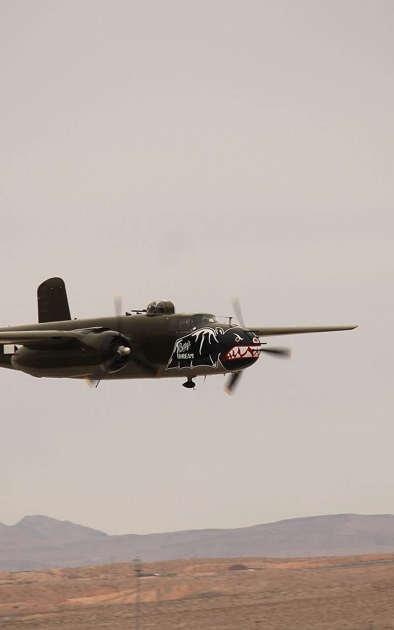  - Warbird