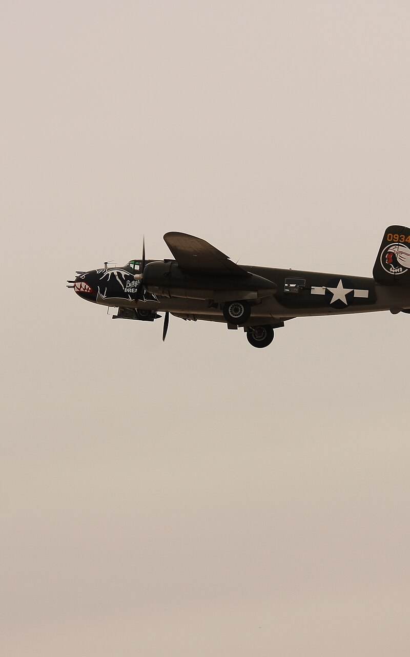  - Warbird