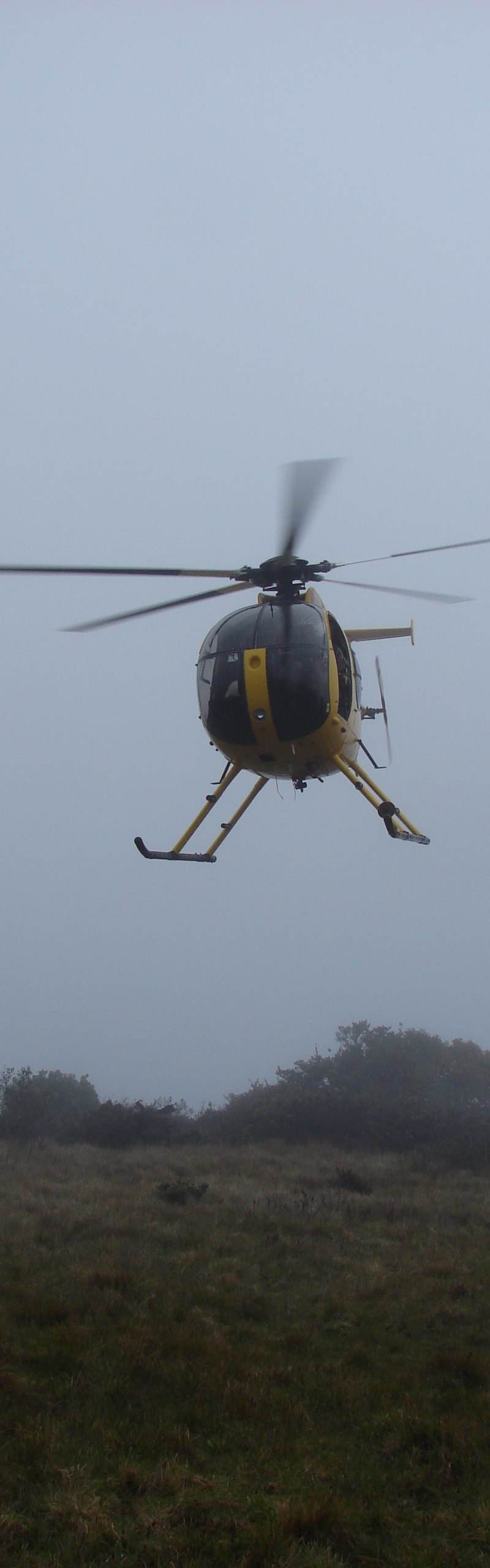 N58251 - Helicopter