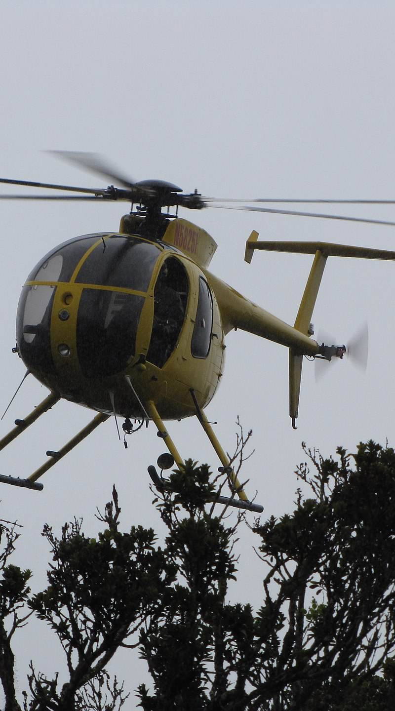 N58251 - Helicopter