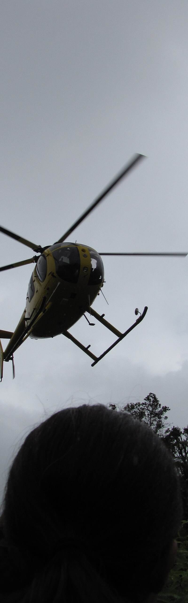 N58251 - Helicopter