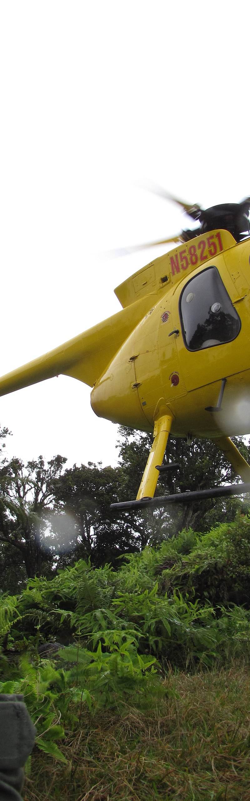 N58251 - Helicopter
