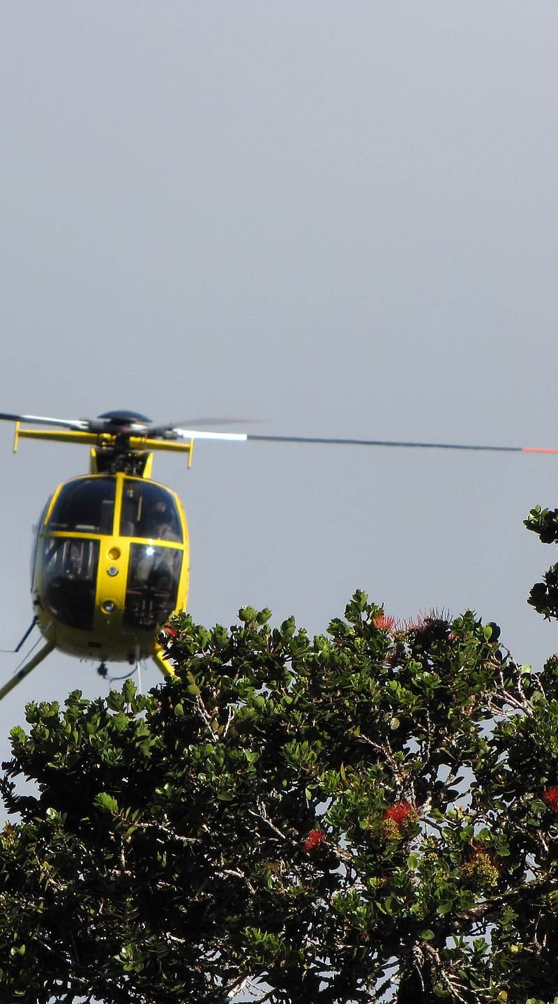 N58251 - Helicopter