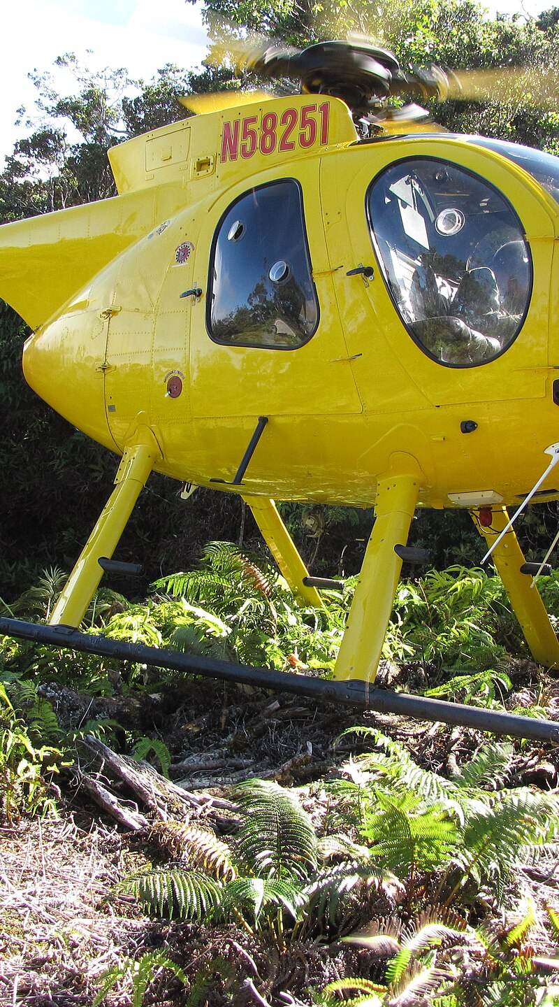 N58251 - Helicopter