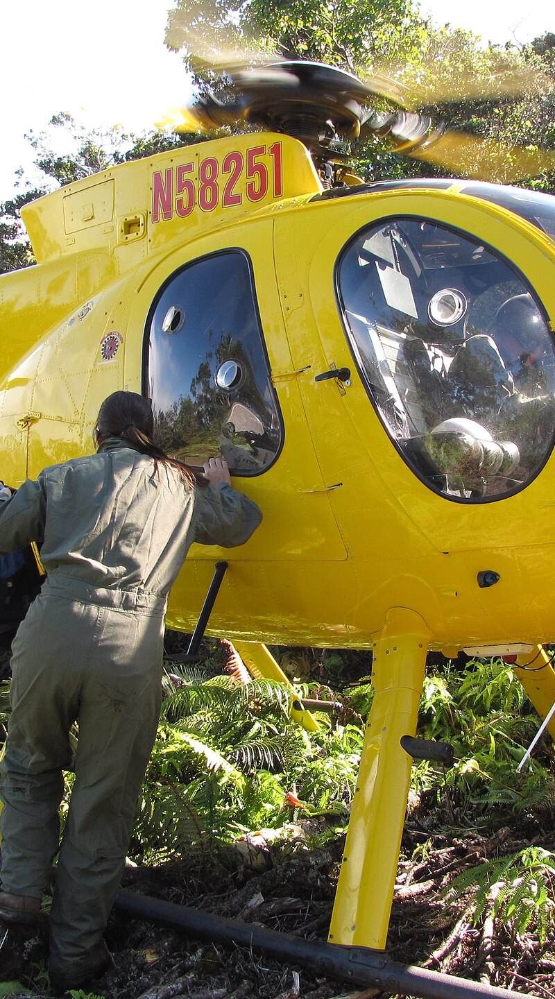 N58251 - Helicopter