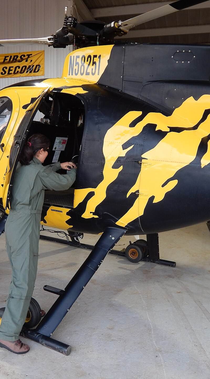 N58251 - Helicopter
