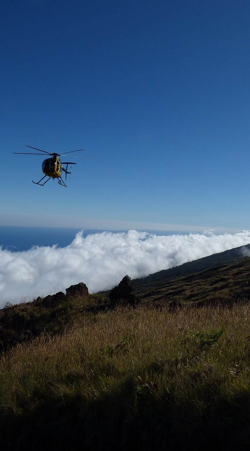 N58251 - Helicopter