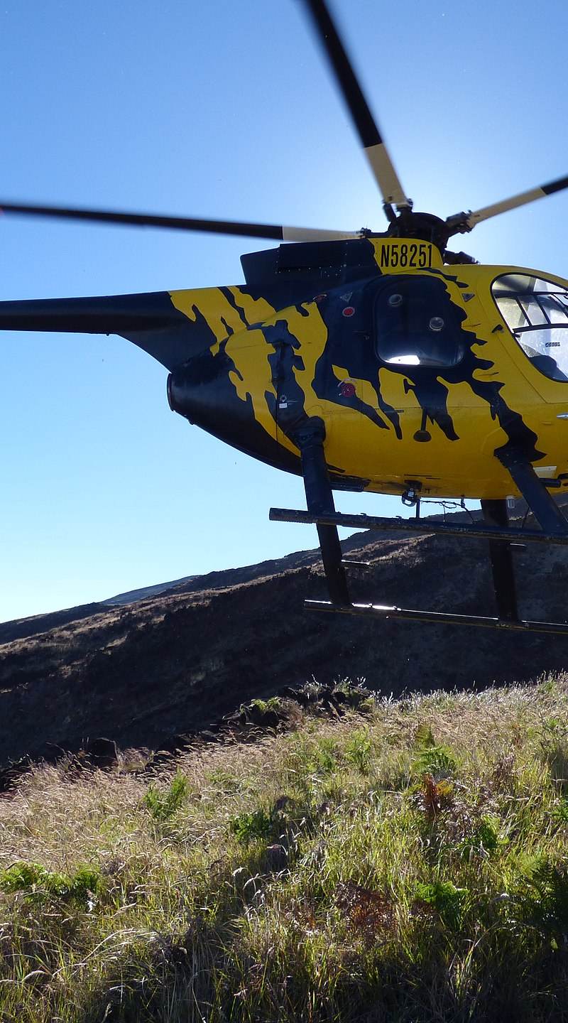 N58251 - Helicopter