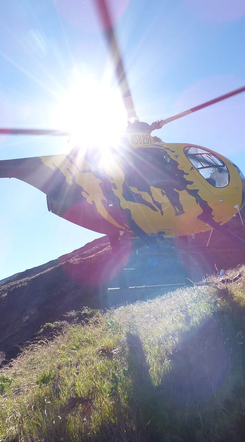 N58251 - Helicopter