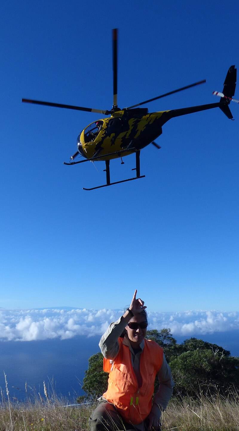 N58251 - Helicopter