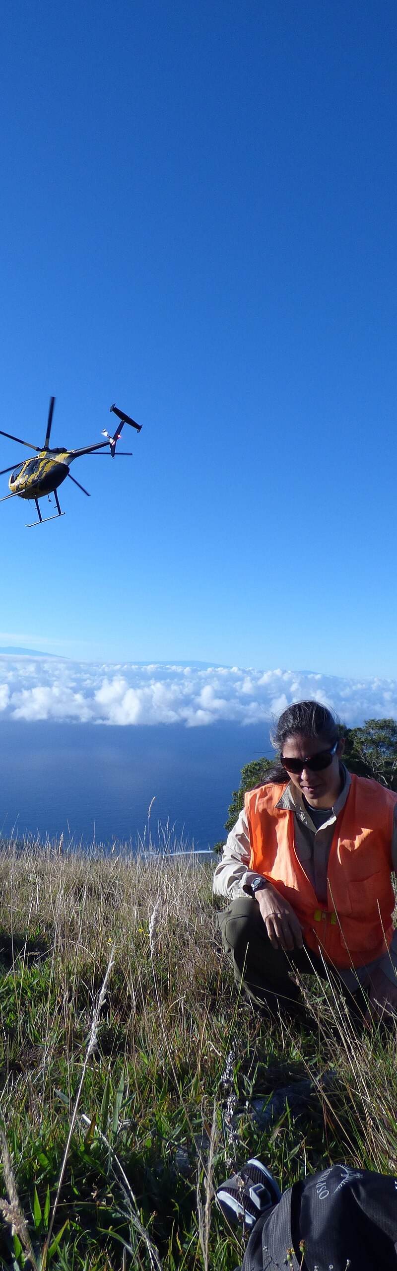 N58251 - Helicopter