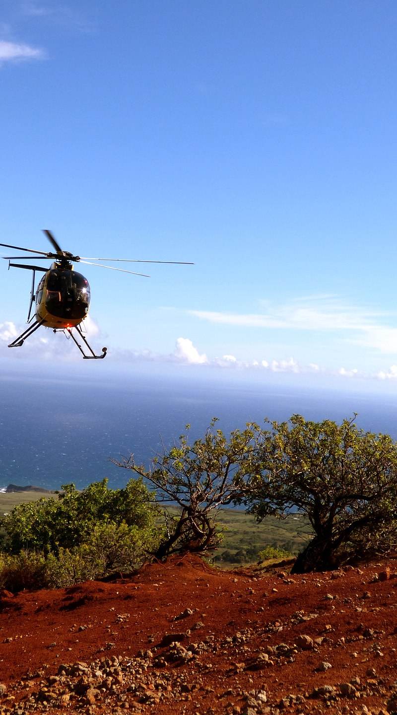 N58251 - Helicopter