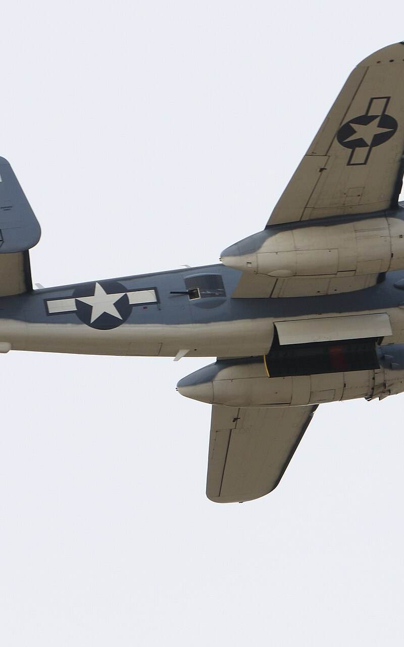  - Warbird