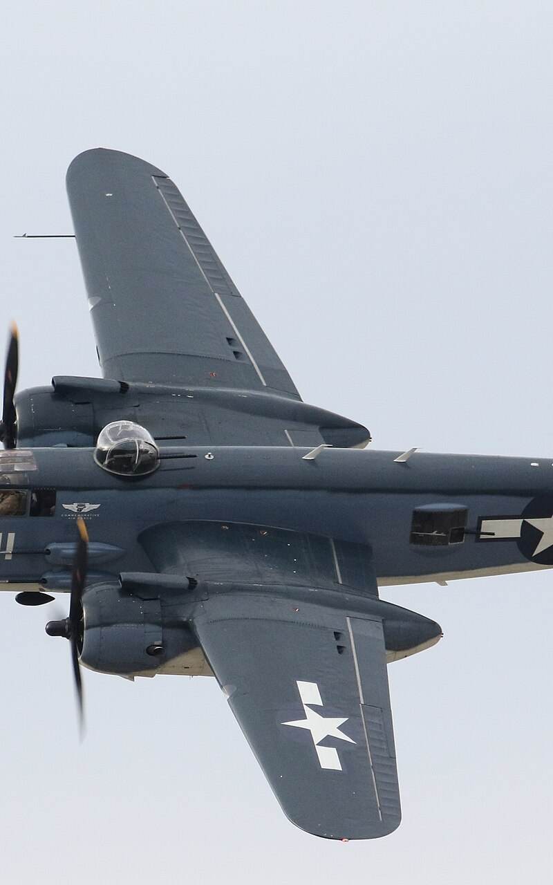  - Warbird