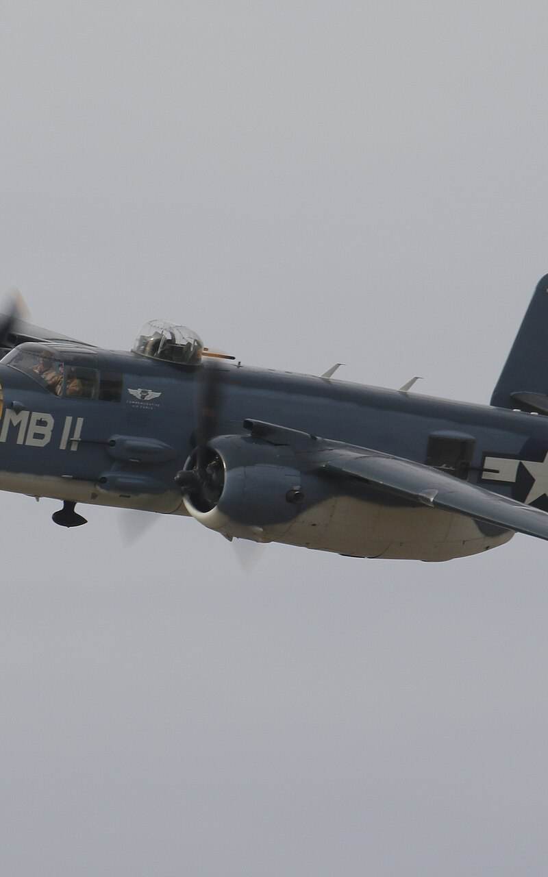  - Warbird