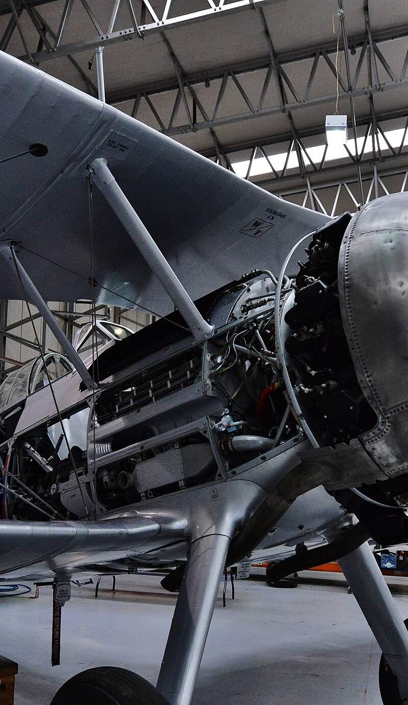 N5903 - Warbird