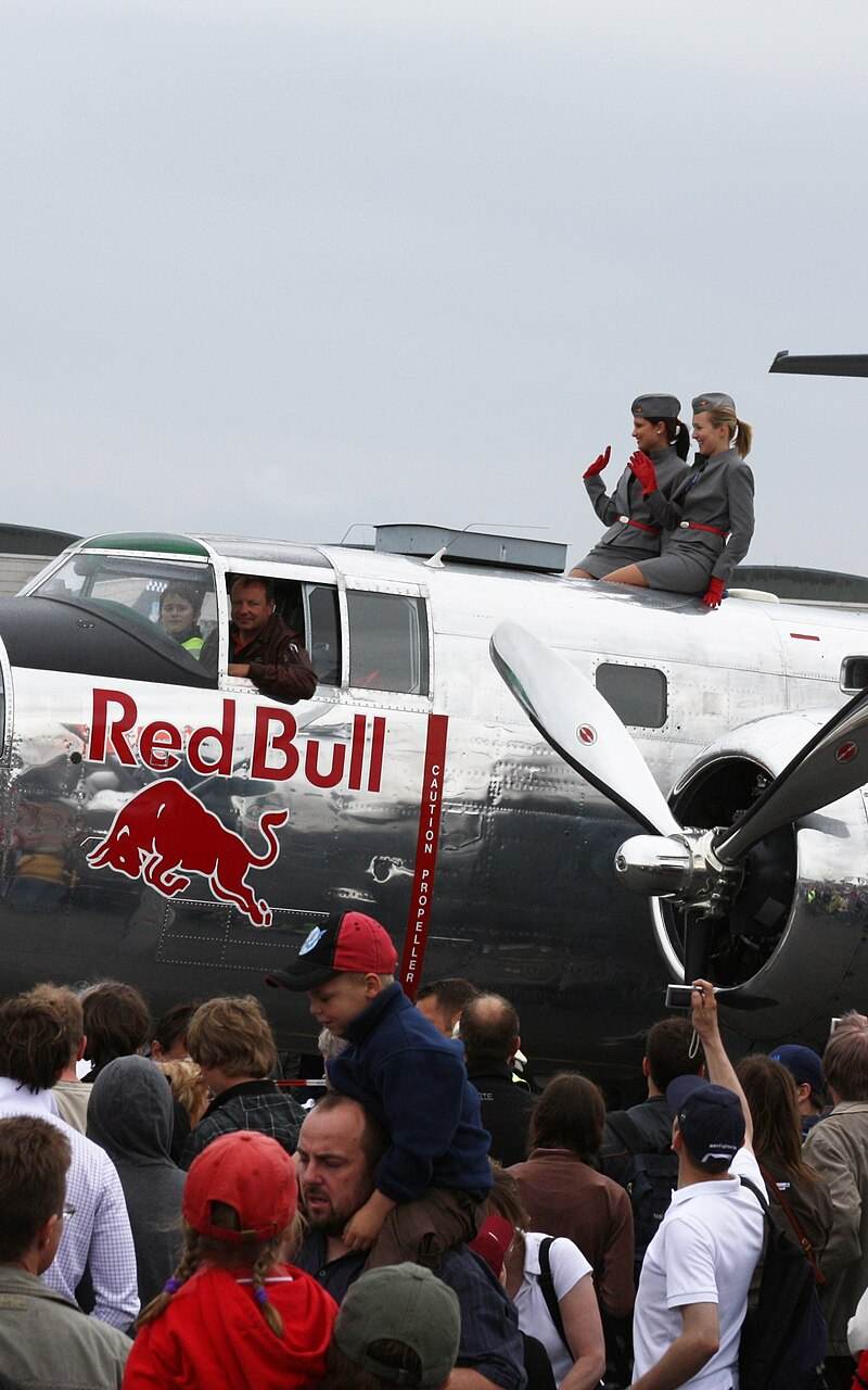  - Warbird