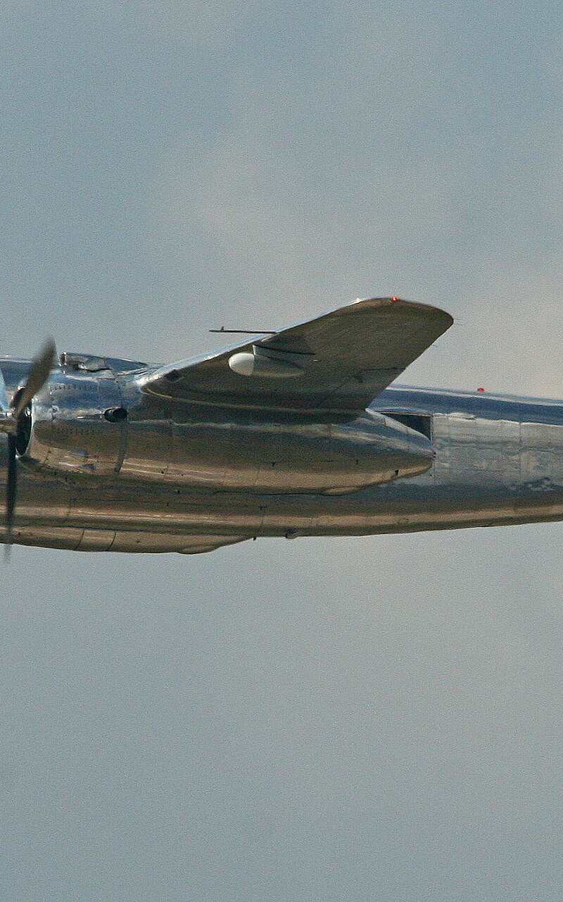 N6123C - Warbird