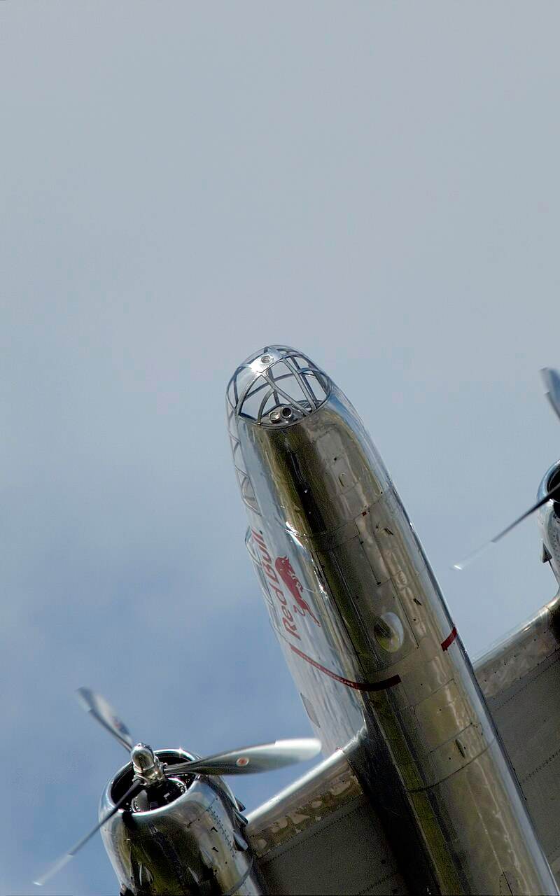  - Warbird