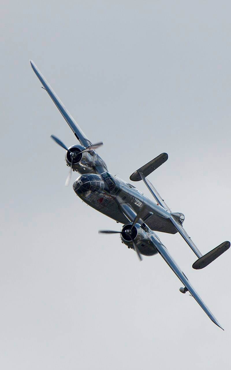  - Warbird