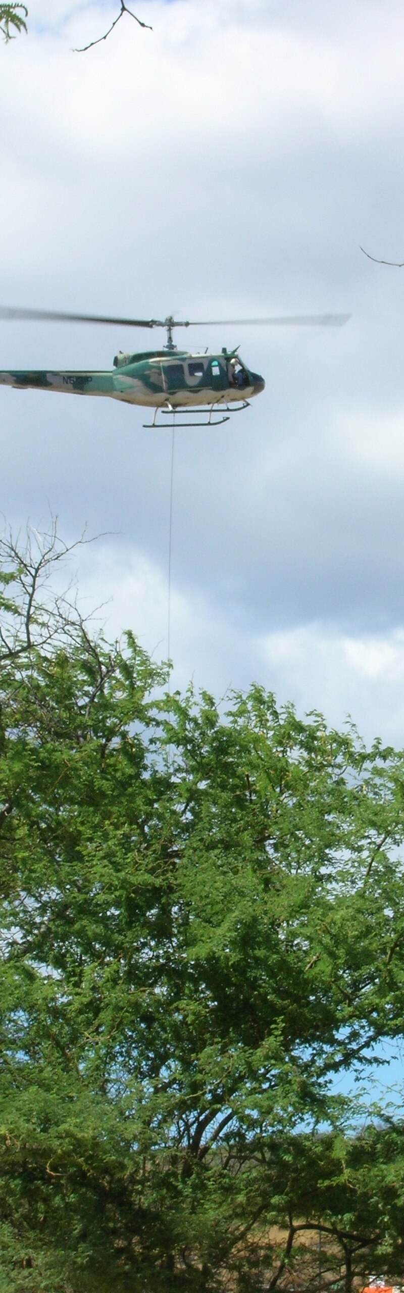 N6131P - Helicopter