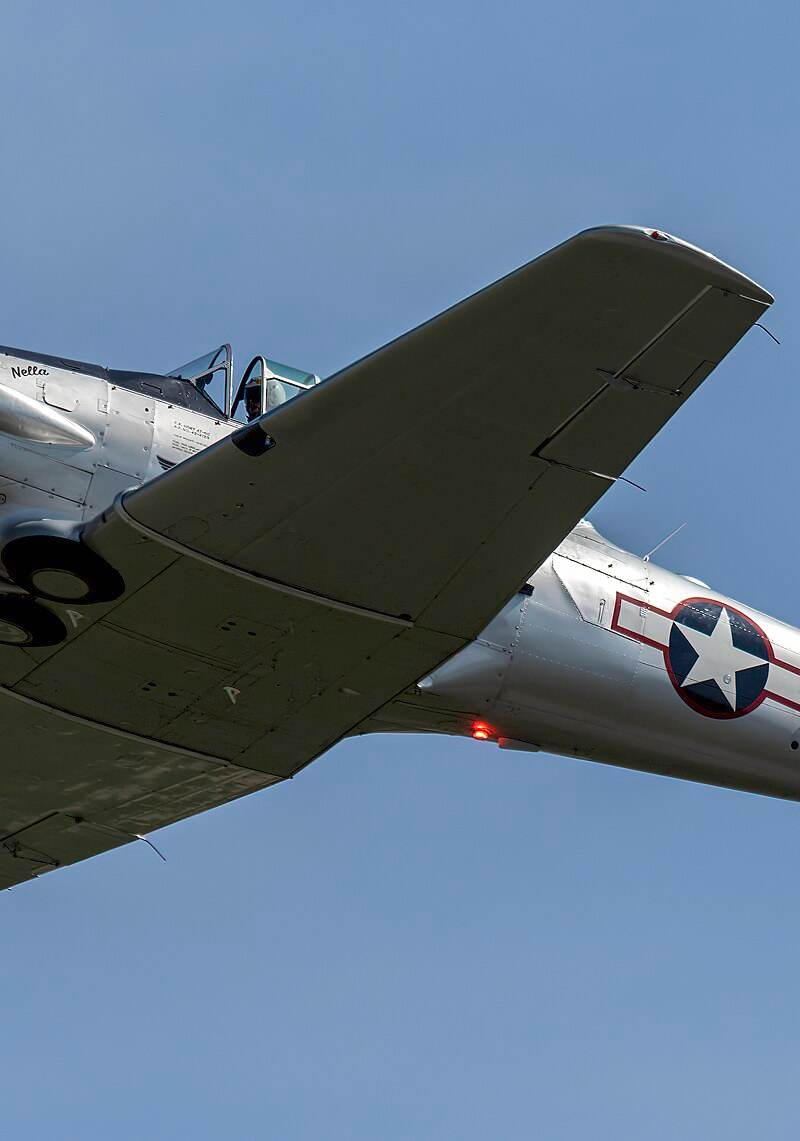 N6253C - Warbird