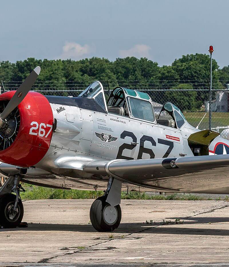 N6253C - Warbird
