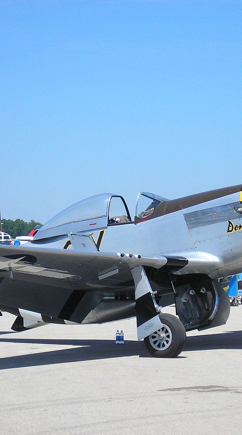  - Warbird