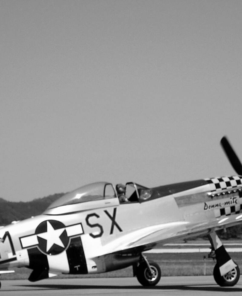  - Warbird