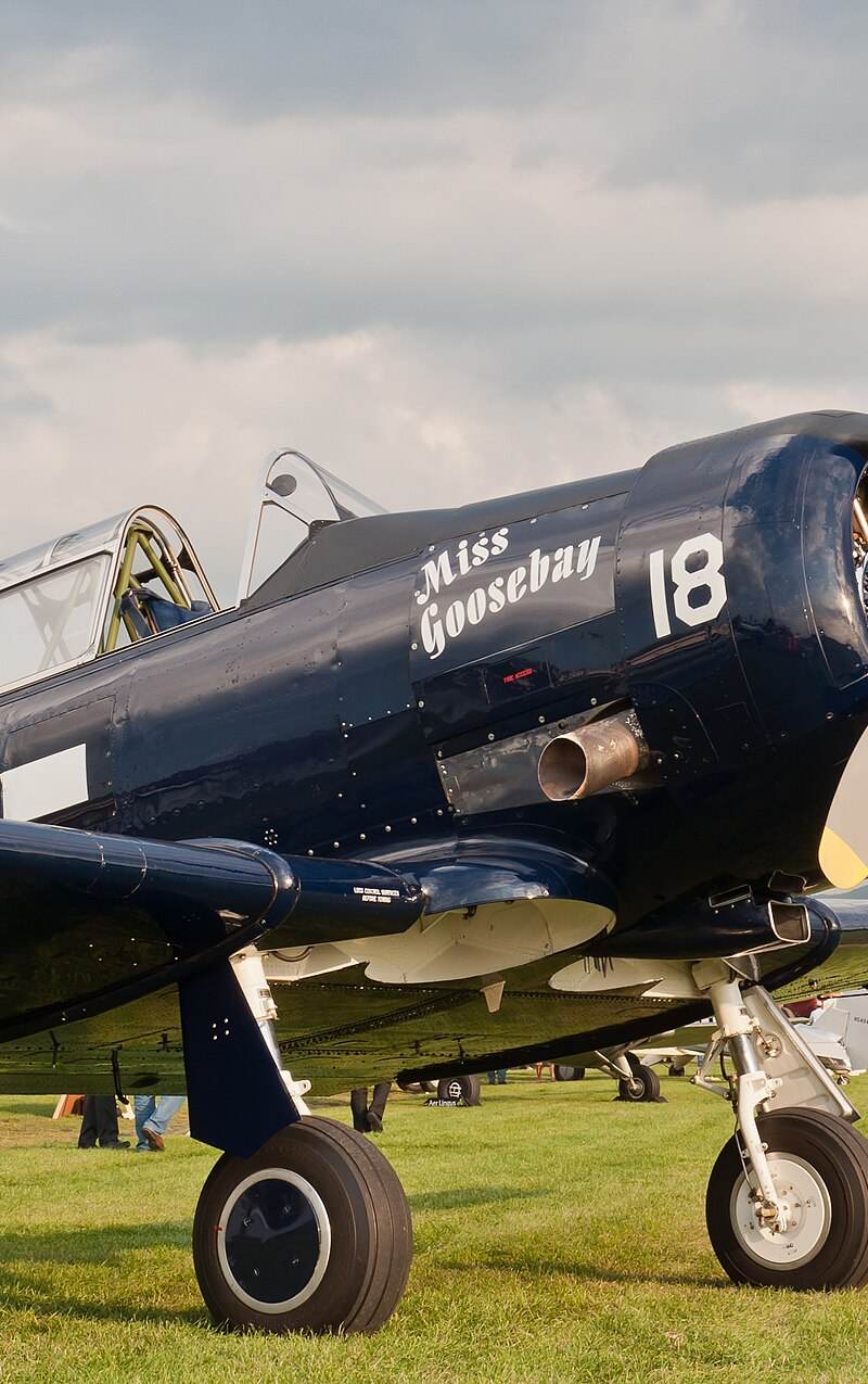 N6593D - Single-engine aircraft