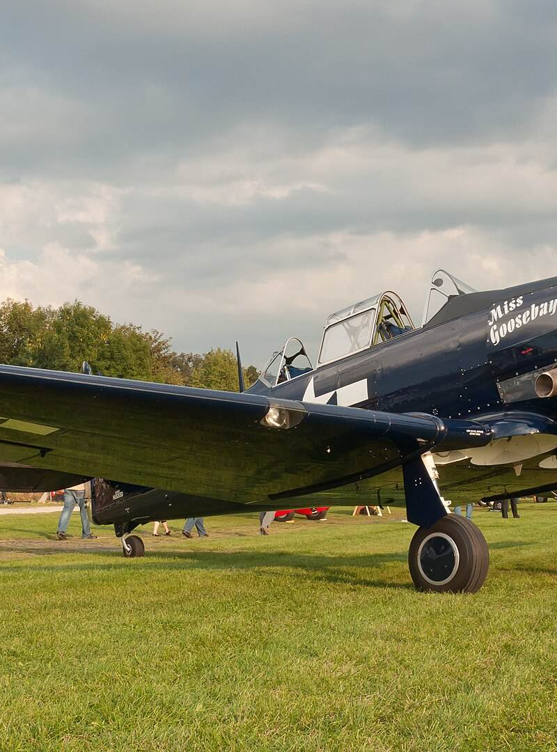 N6593D - Warbird
