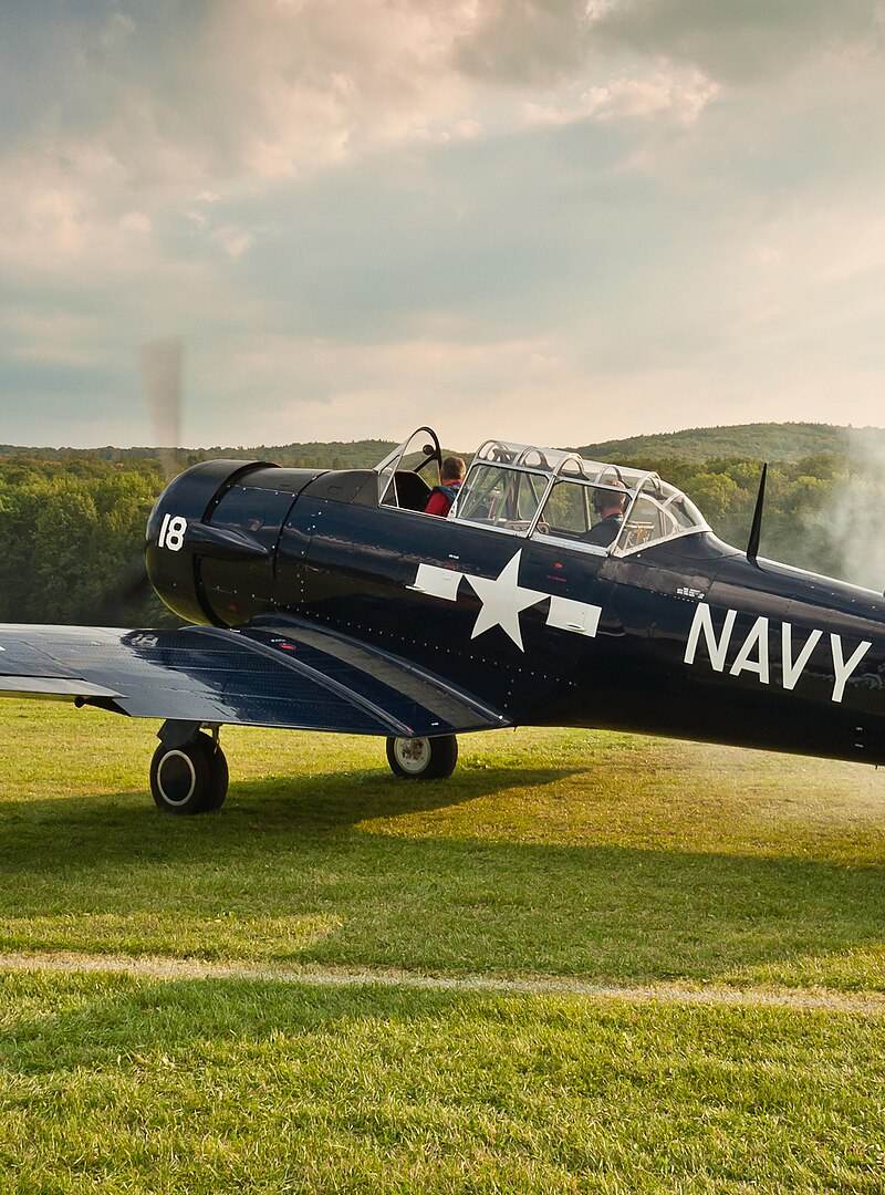 N6593D - Warbird