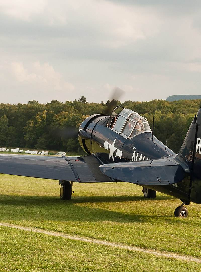 N6593D - Warbird