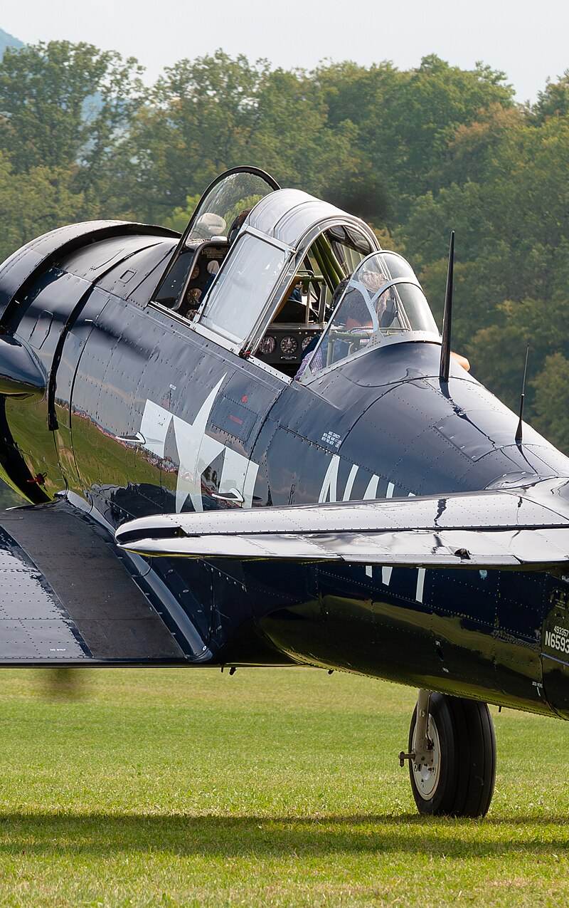 N6593D - Warbird